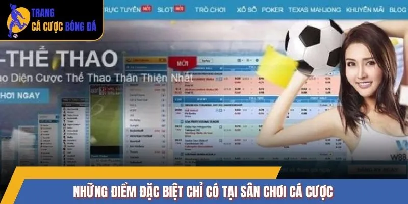 Những điểm đặc biệt chỉ có tại sân chơi cá cược